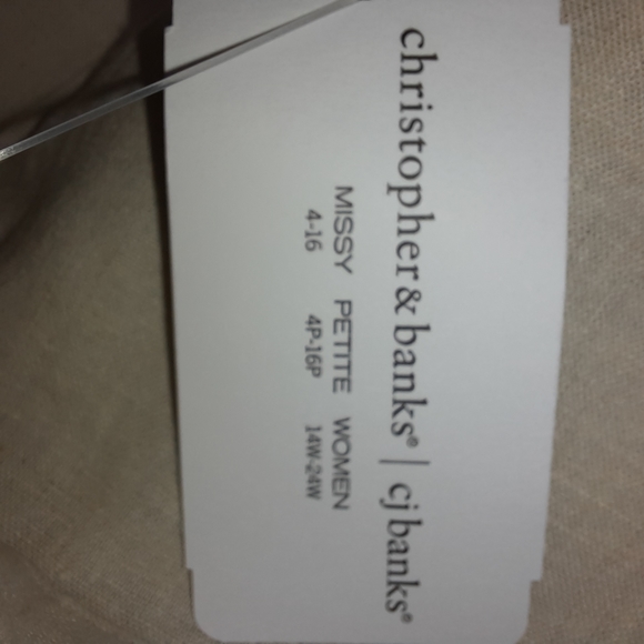 Christopher & Banks Neutral Tan Linen Blend Panel Flare Midi Skirt SZ 12 - Picture 4 of 11